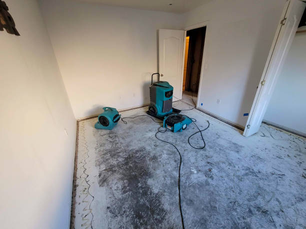 Best Basement water damage restoration  in Chattahoochee Hills, GA