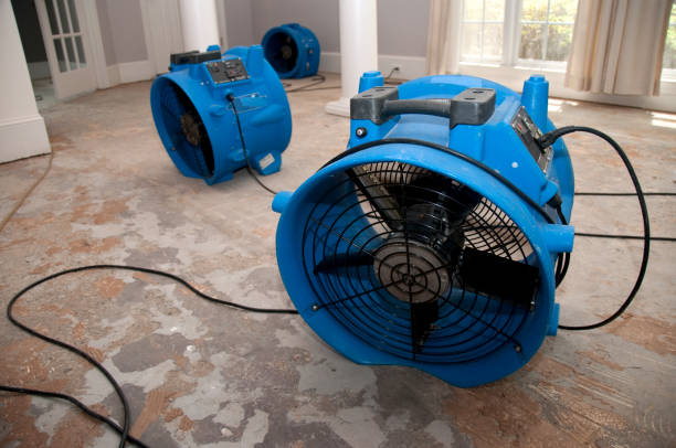 Best 24/7 water damage repair  in Chattahoochee Hills, GA