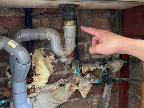 Best Basement water damage restoration  in Chattahoochee Hills, GA