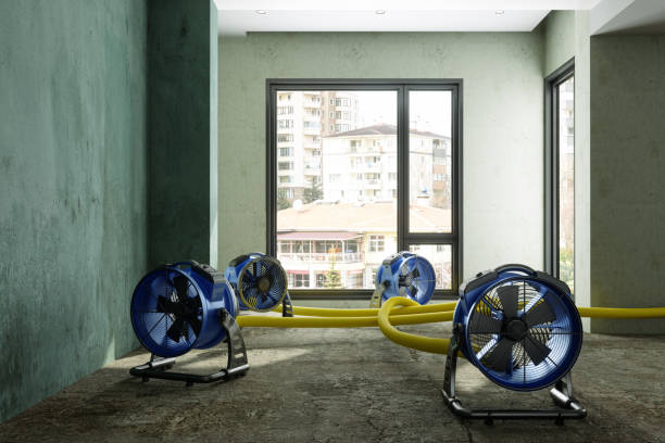 Best Basement water damage restoration  in Chattahoochee Hills, GA